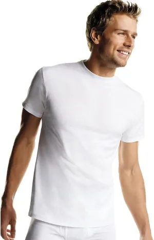 Hanes mens 2135p6