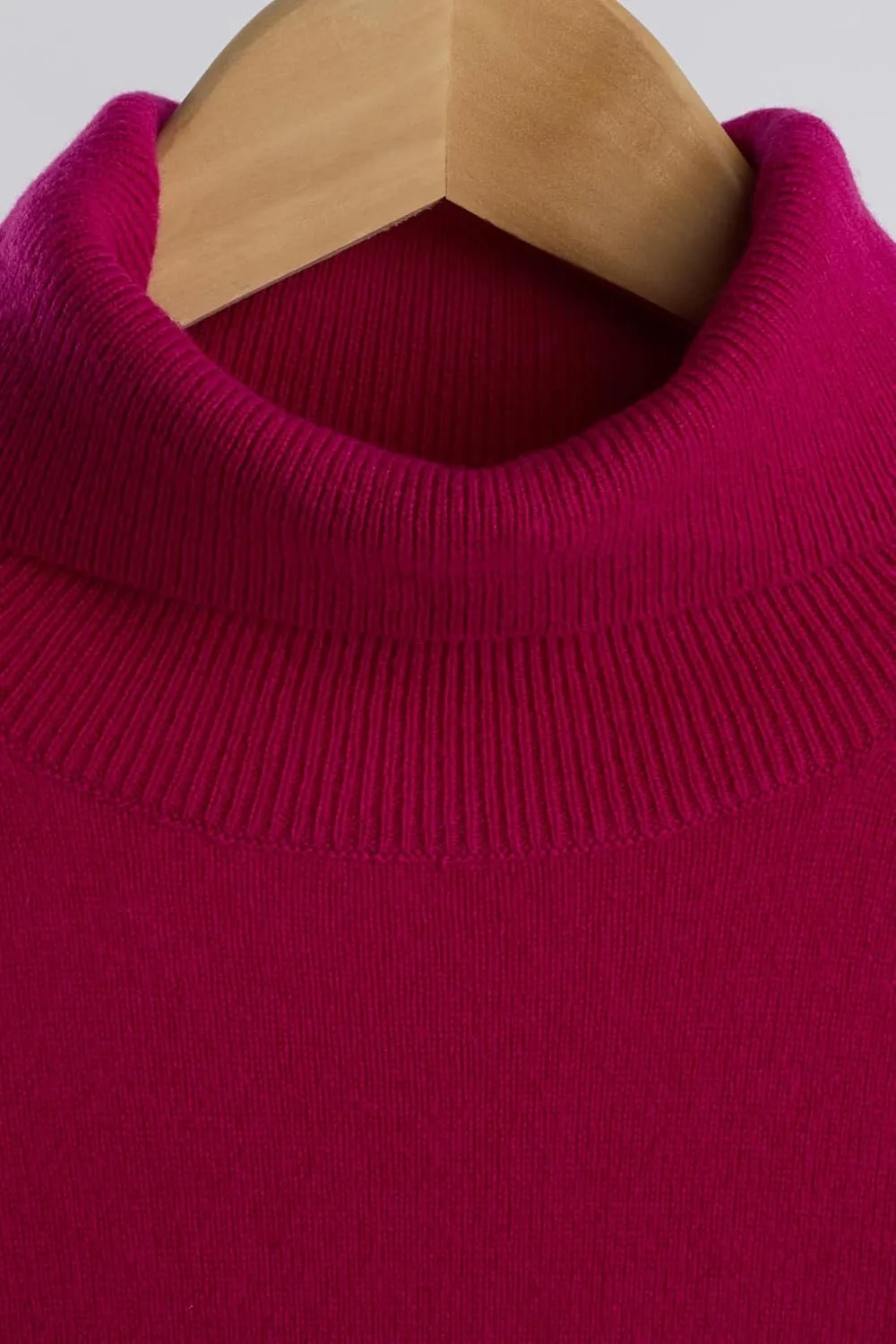 JENNIE LIU Women's 100% Pure Cashmere Long Sleeve Pullover Turtleneck Sweater