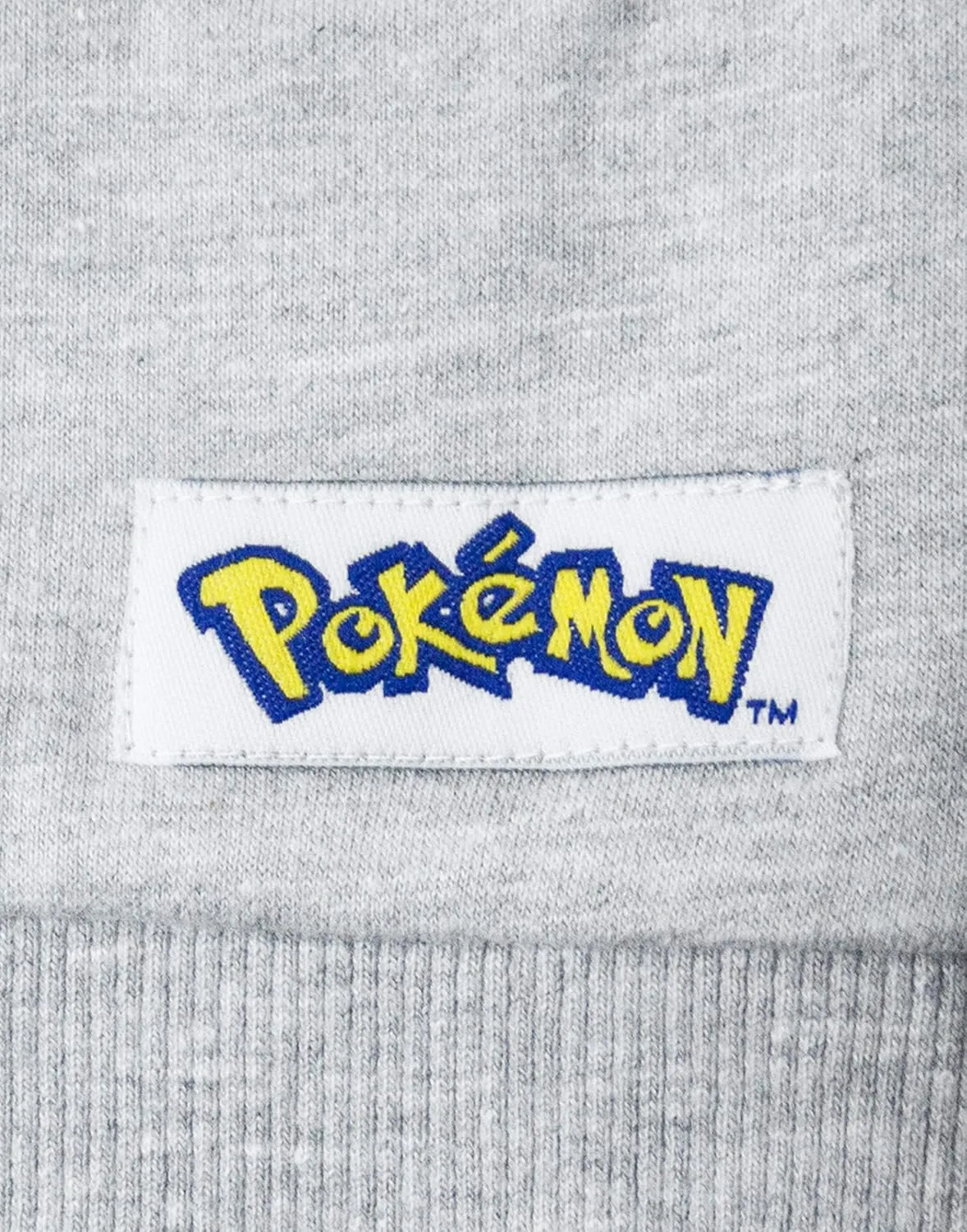 Pokemon Boys Hoodie Zip Up Grey Long Sleeve Hooded Sweater